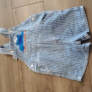 24M Cookie Monster shortalls